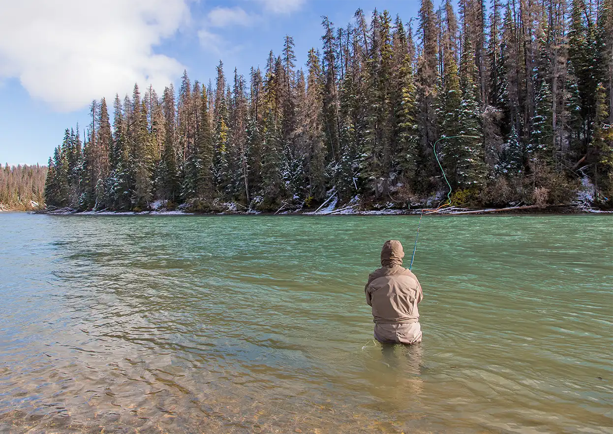 The Fly Shop Travel Image