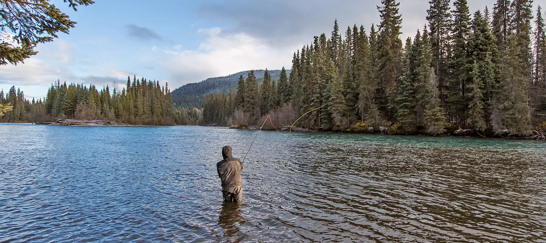 Bulkley Basecamp – Steelhead