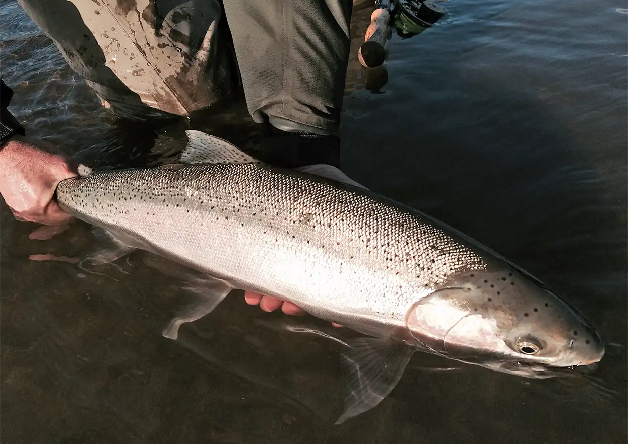 The Fly Shop Travel Image