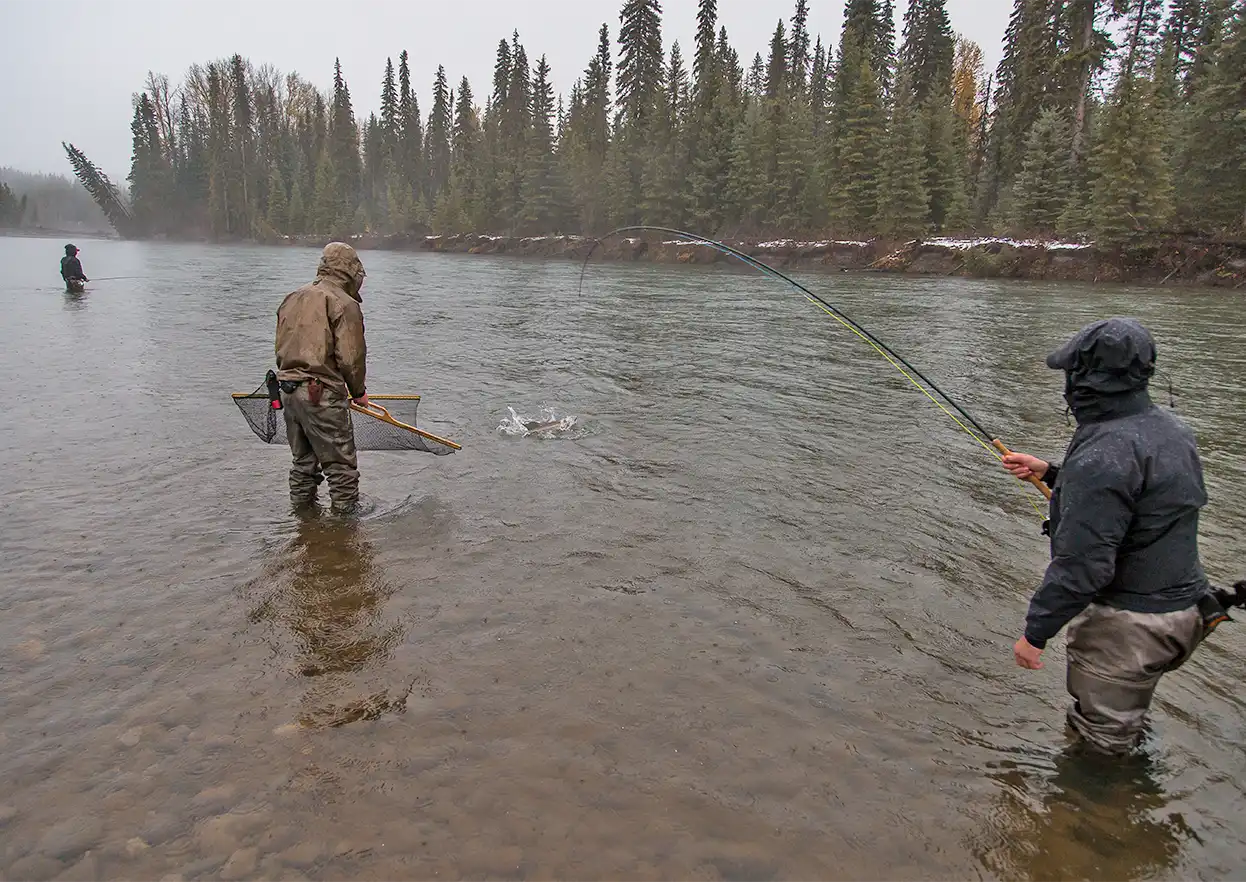 The Fly Shop Travel Image