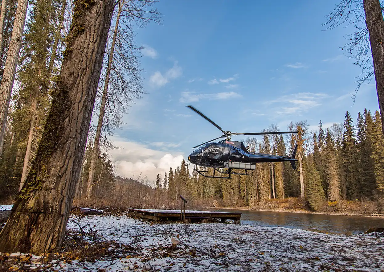 The Fly Shop Travel Image