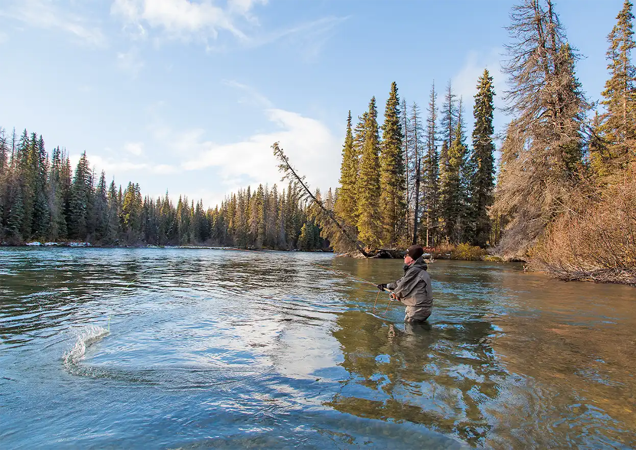 The Fly Shop Travel Image