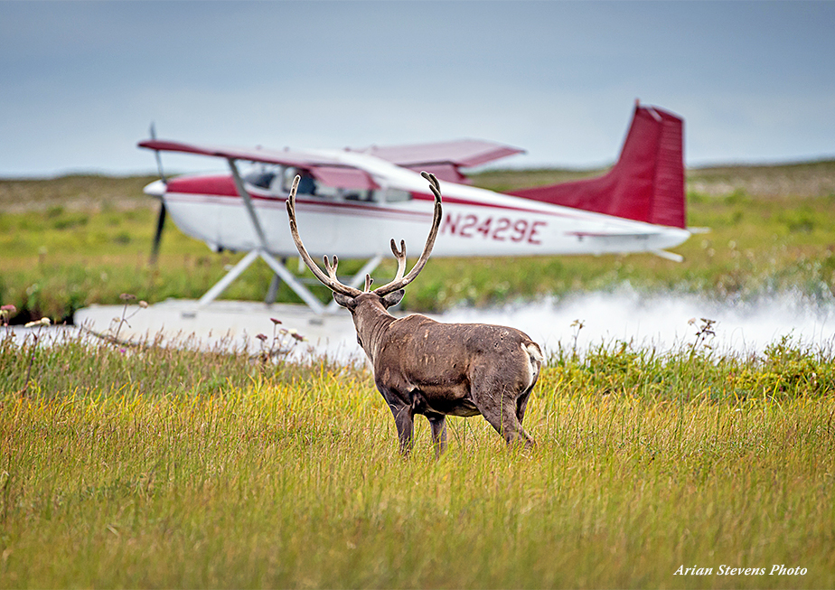 The Fly Shop Travel Image