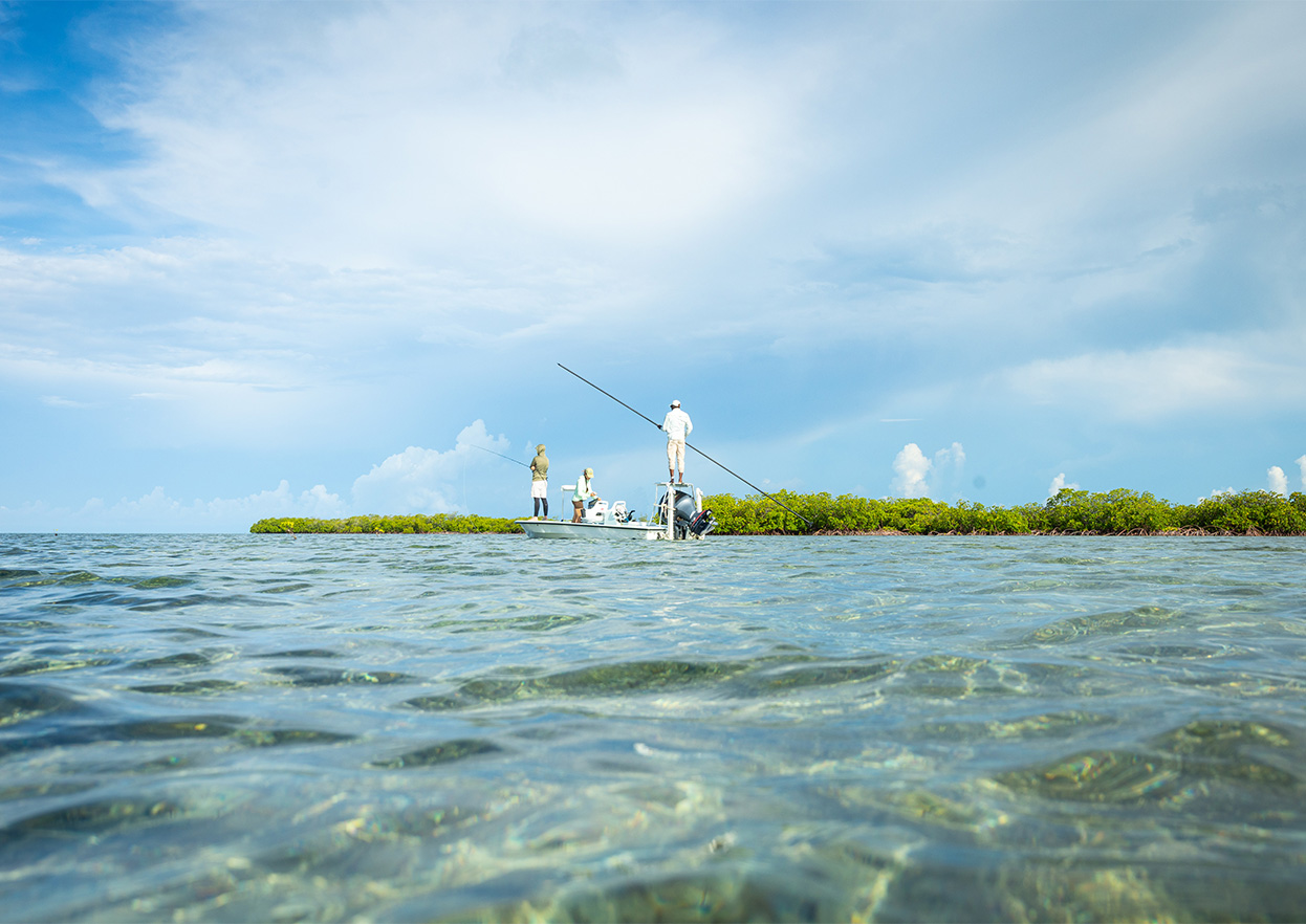 The Fly Shop Travel Image