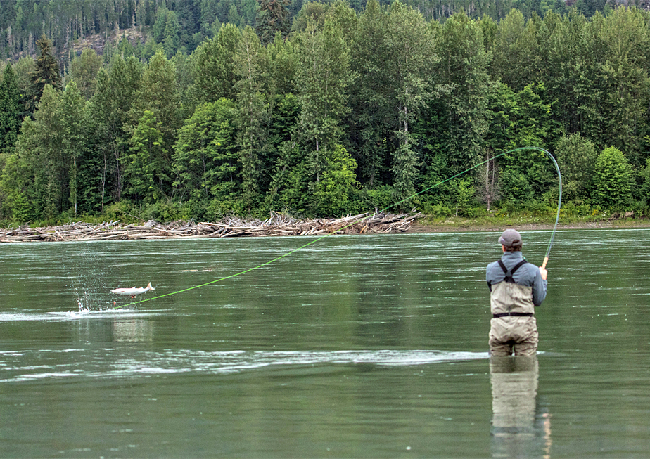 The Fly Shop Travel Image