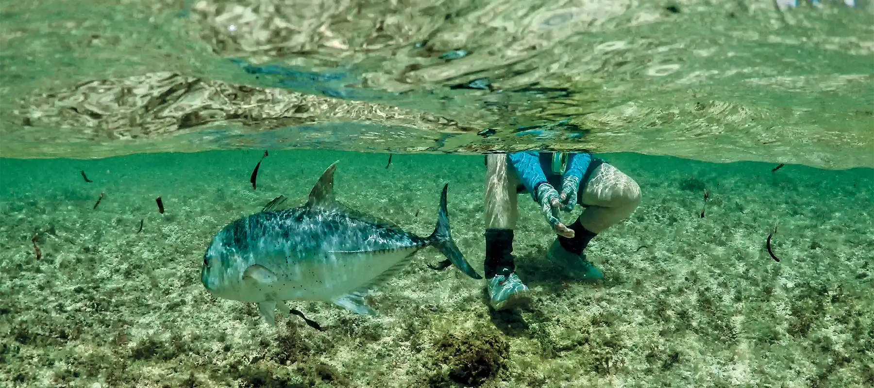 Cosmoledo Atoll, Seychelles