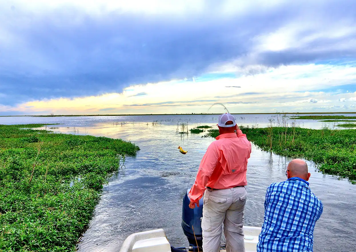 The Fly Shop Travel Image