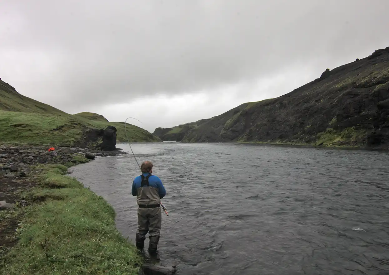 The Fly Shop Travel Image