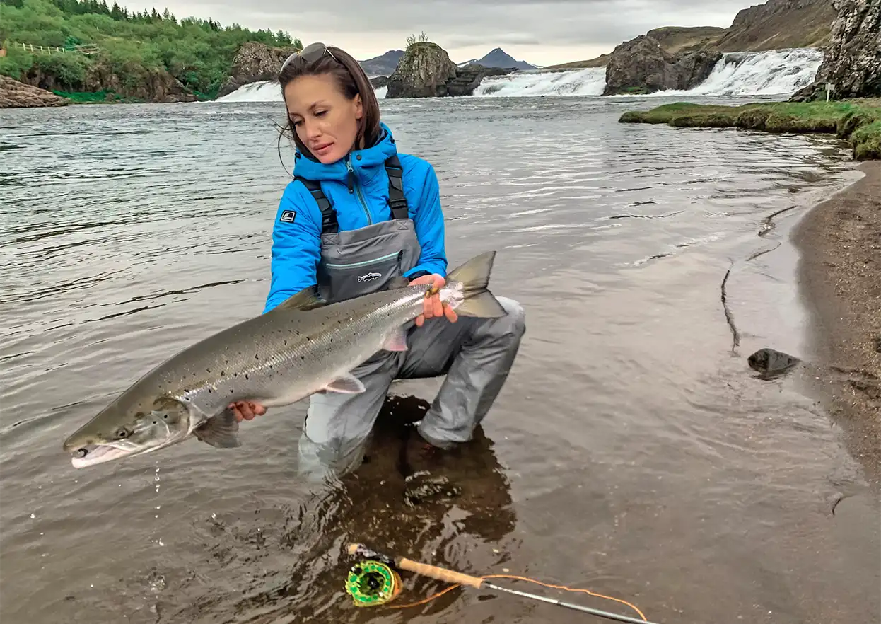 The Fly Shop Travel Image