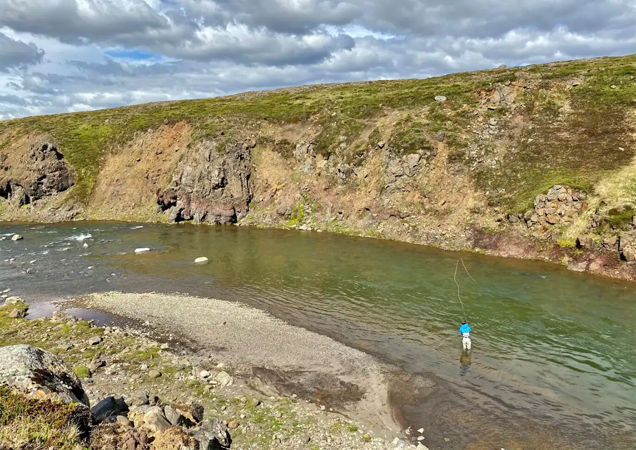 The Fly Shop Travel Image