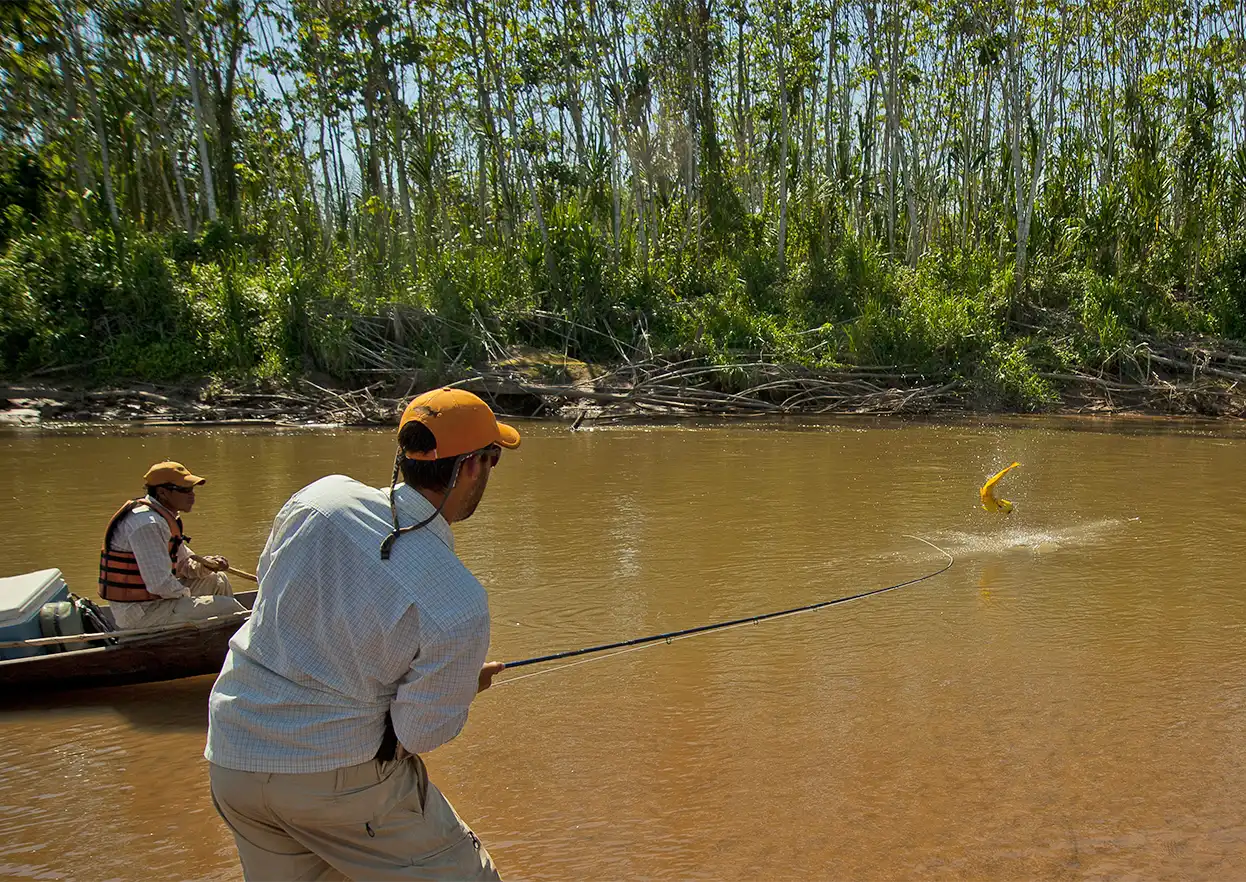 The Fly Shop Travel Image