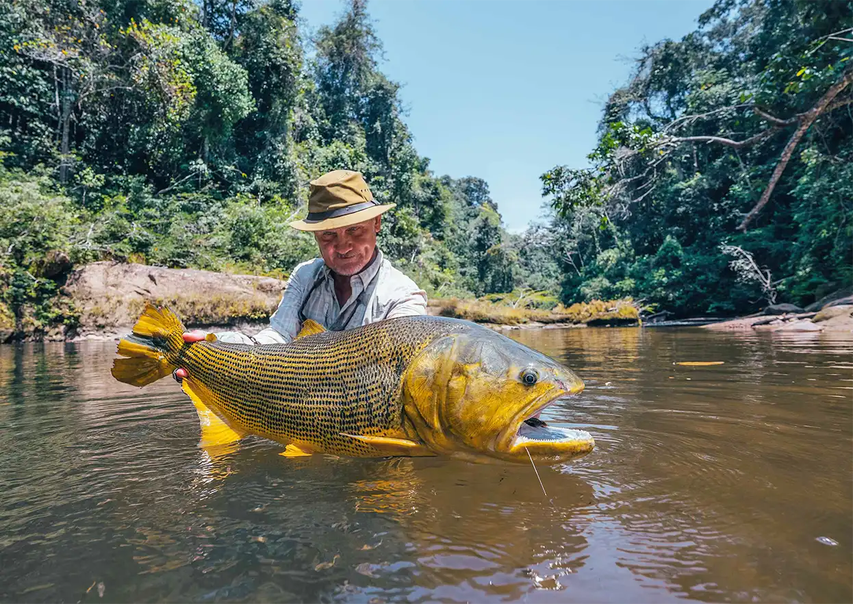 The Fly Shop Travel Image