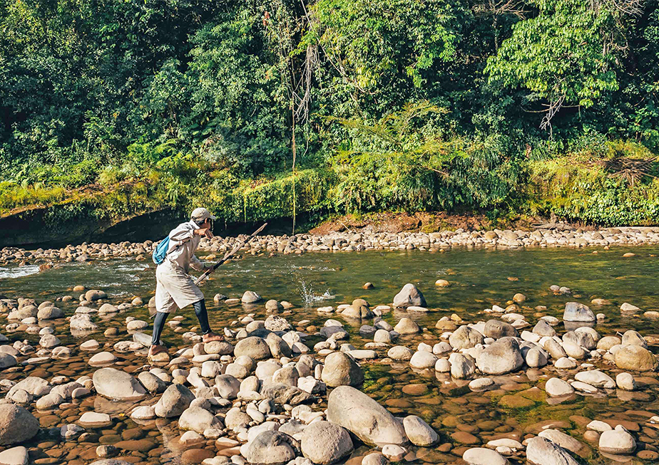 Fly Rod Building Kit With 4 Piece, 9' 0, 8 Weight Olympic Green RAINS –  Virgin River Anglers