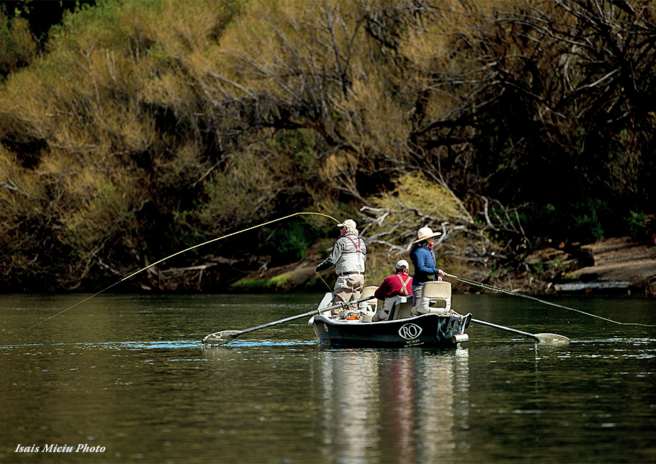 The Fly Shop Travel Image