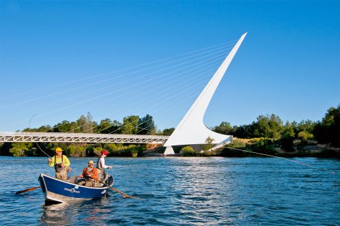 Northern California Stream Report