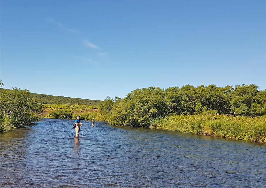 The Fly Shop Travel Image