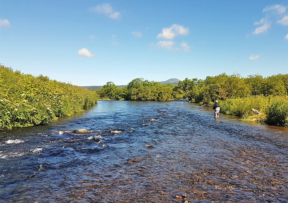 The Fly Shop Travel Image