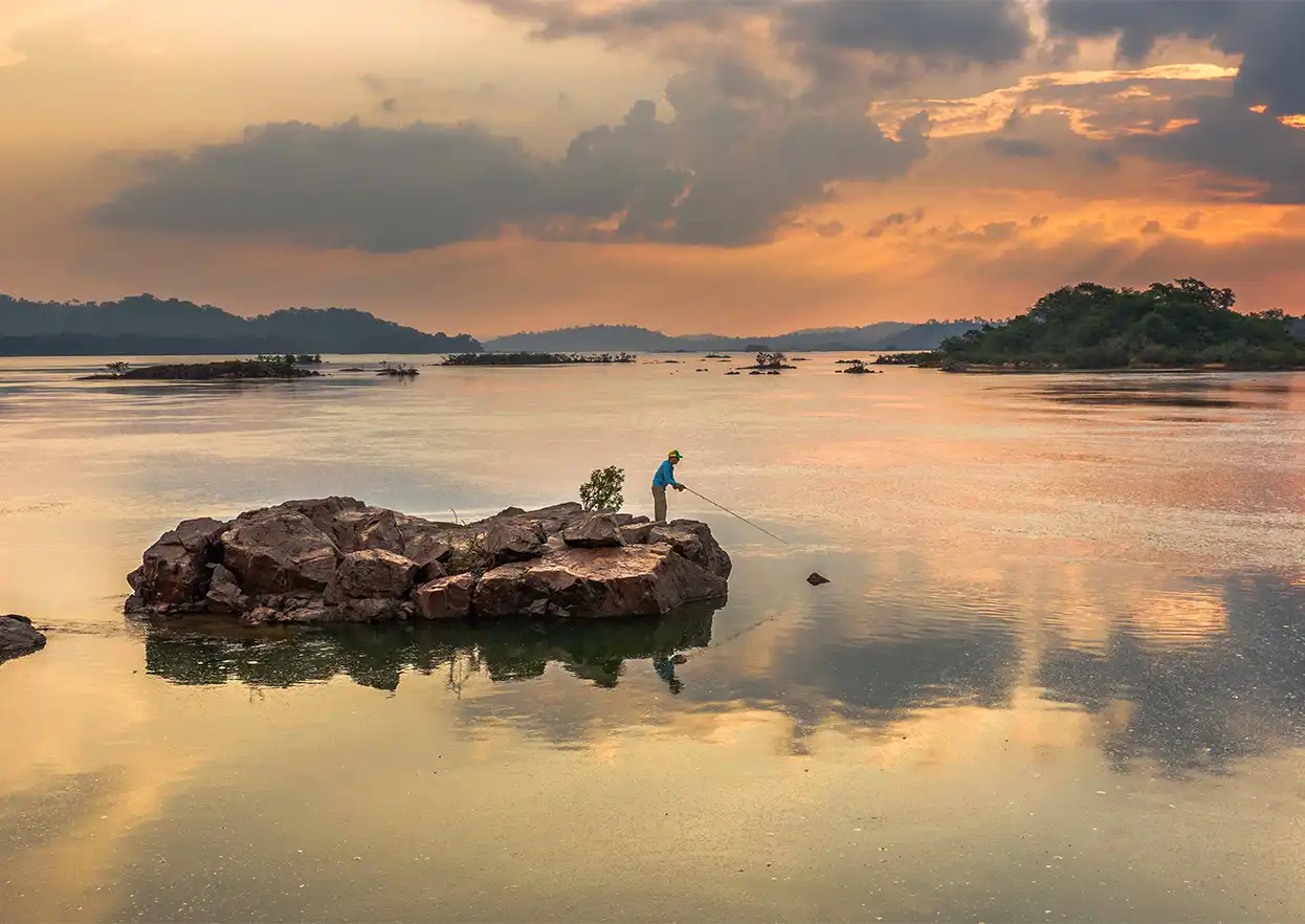 The Fly Shop Travel Image