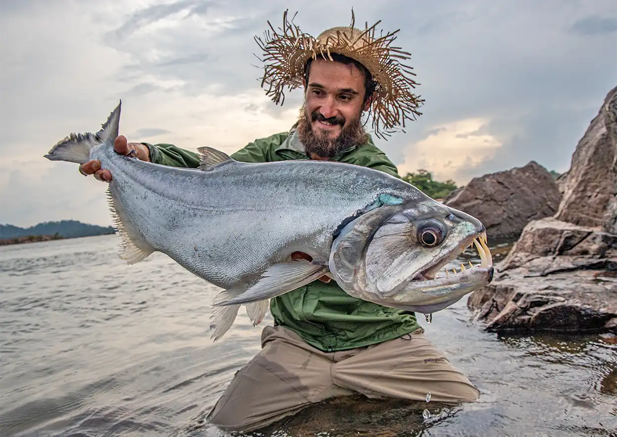 The Fly Shop Travel Image