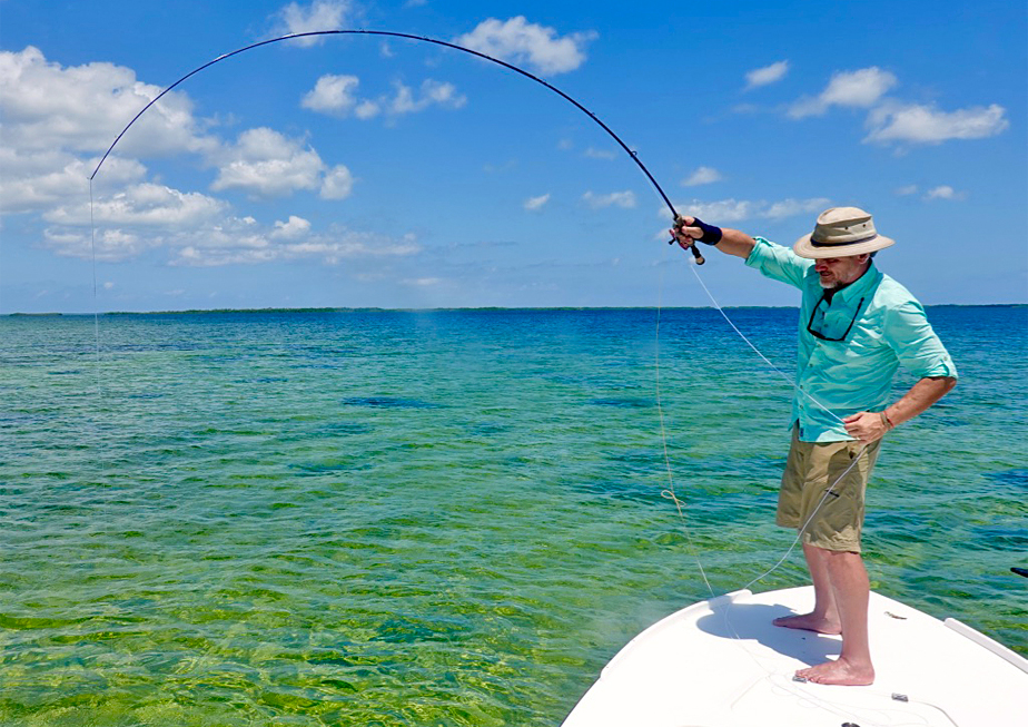 The Fly Shop Travel Image