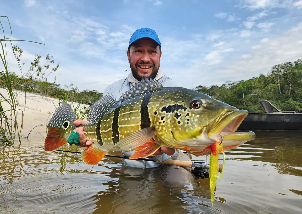 The Fly Shop Travel Image