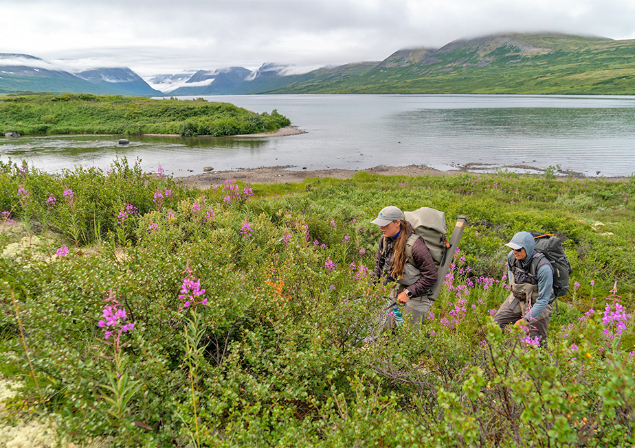 The Fly Shop Travel Image