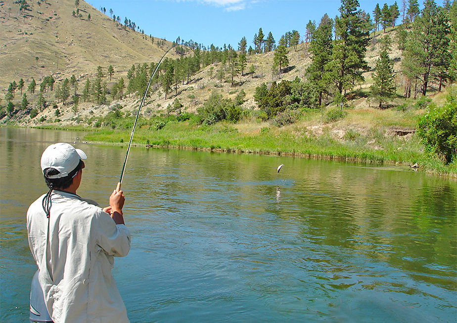 Fly Fishing Leaders for Fall  Missouri River Fly Fishing Gear