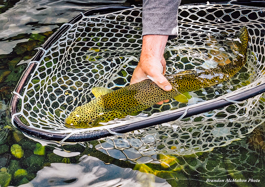 Guided Fishing in Western Missouri - Bed & Breakfast Inns of Missouri