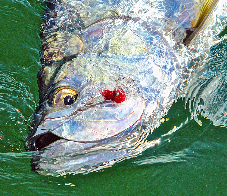 The Fly Shop World Fly Fishing Travel