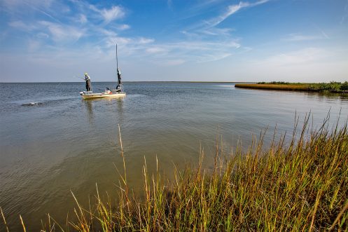 2020 Louisiana Redfish Trip Report - The Fly Shop