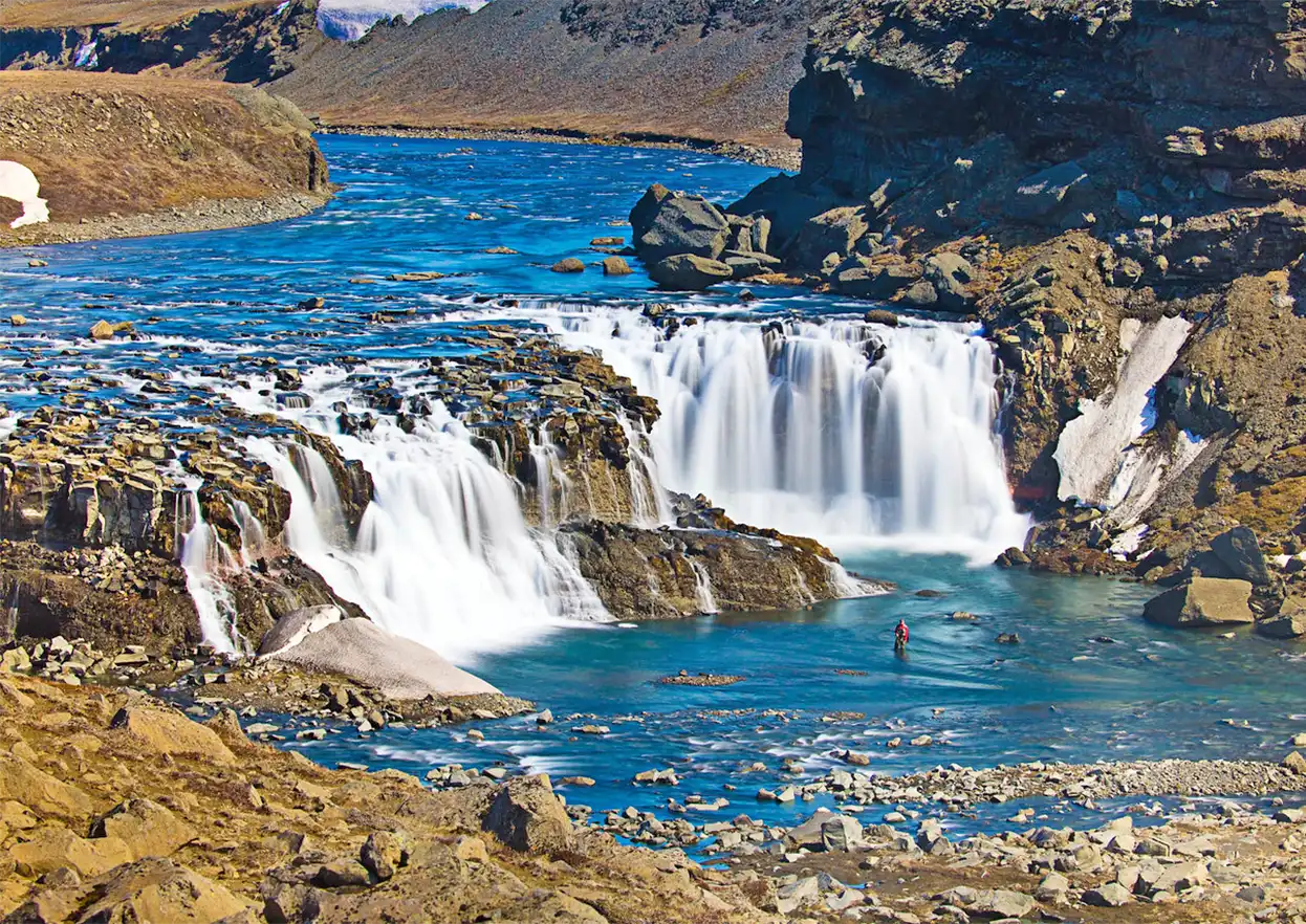 The Fly Shop Travel Image