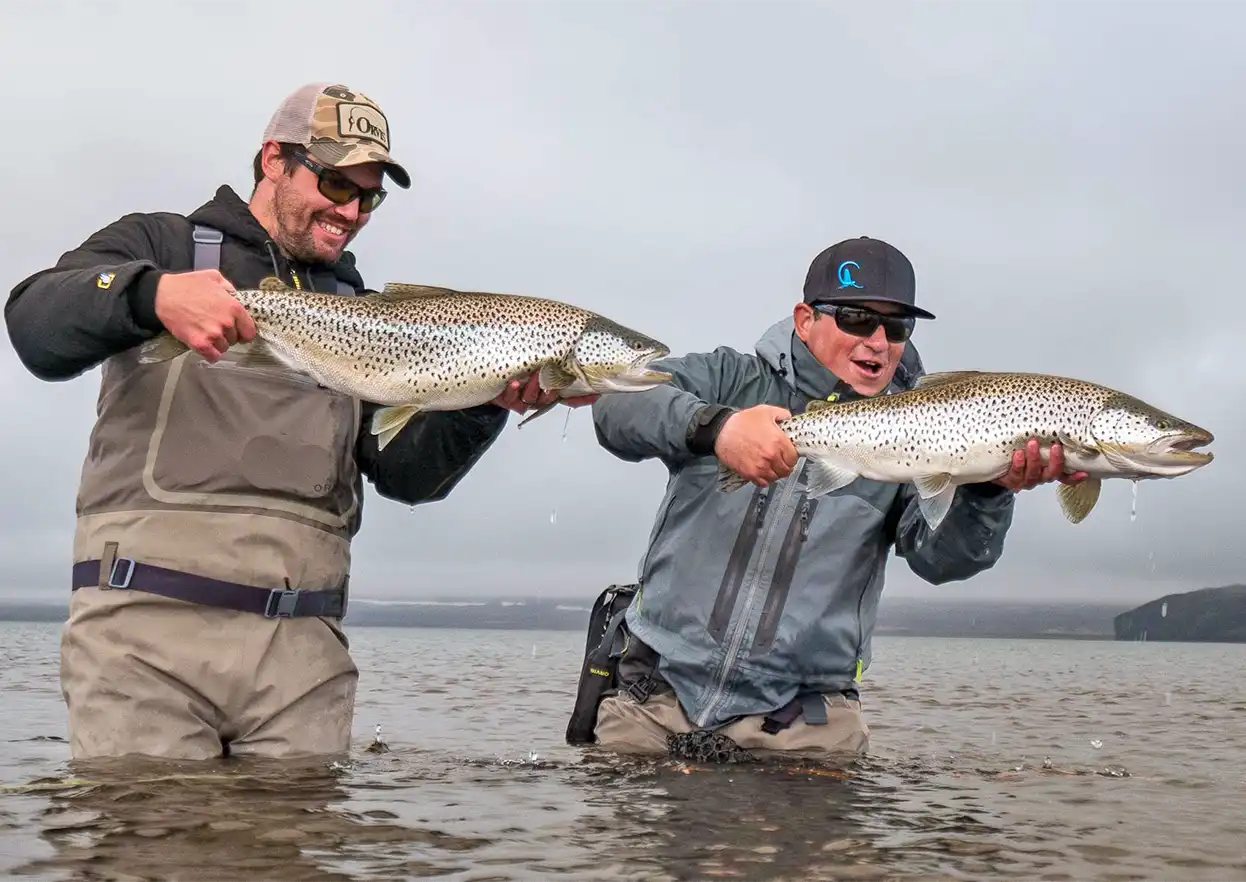 The Fly Shop Travel Image