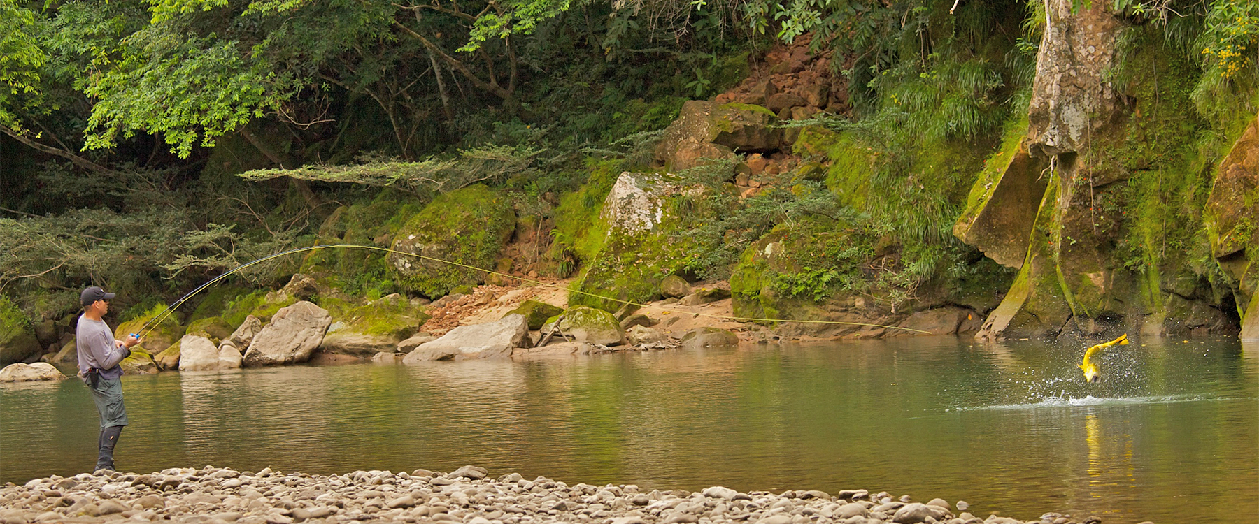 Tsimane is Back in 2021