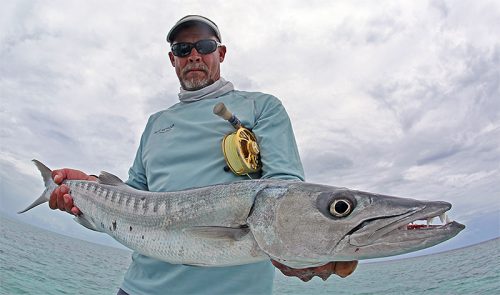 Belize Barracuda