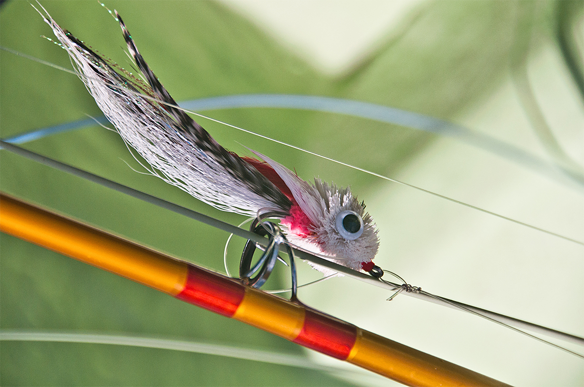 Deceiver Saltwater Fly Green and Yellow