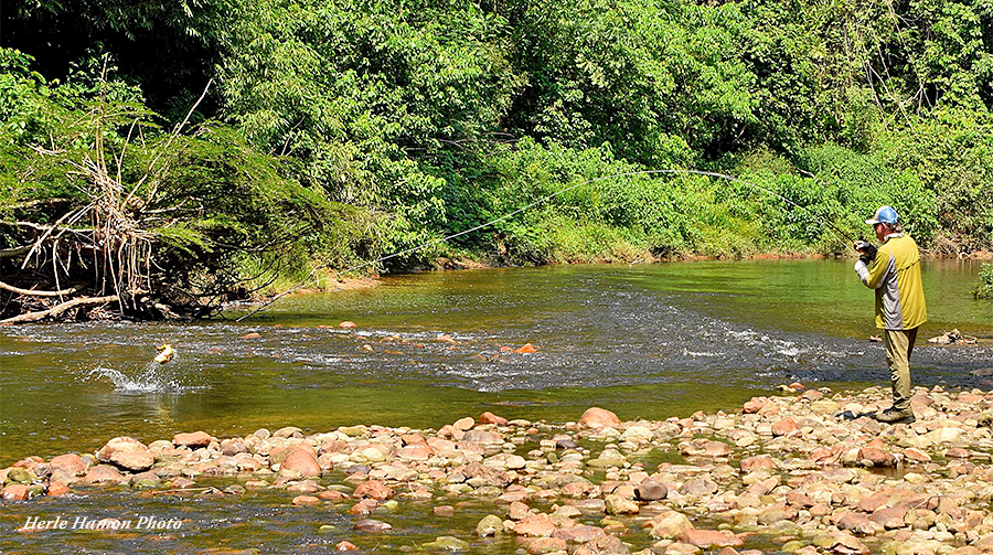 Fly Fishing in Bolivia