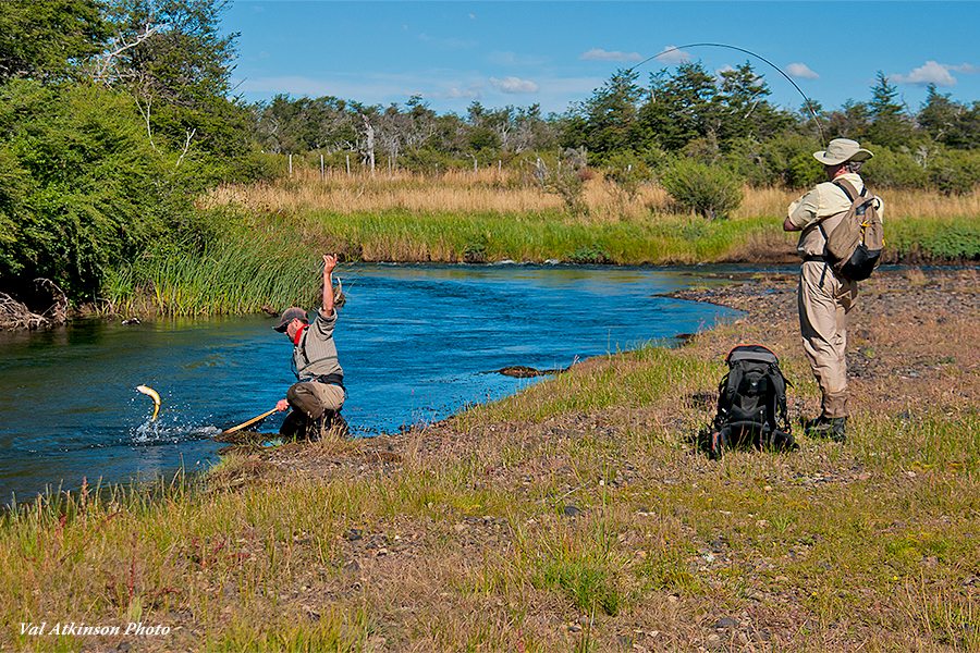 Hooked up at El Saltamontes