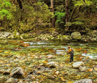 Learn to fly fish like a pro at Owen River Lodge's Fly Fishing school -  Owen River Lodge NZ