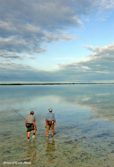 Walking the flats for bonefish