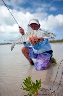 Eric Ersch - Bonefish