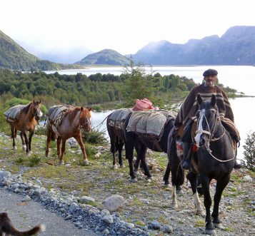 Chilean Gaucho