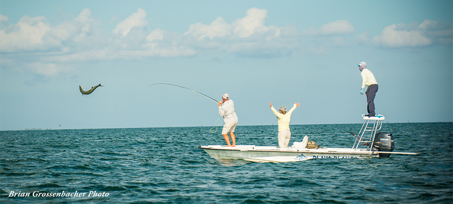 Leaping Tarpon