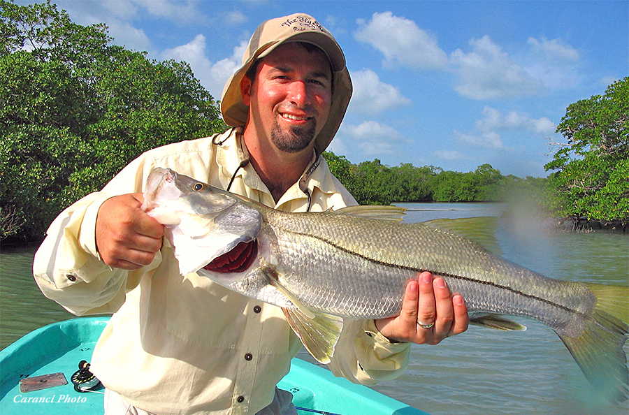 Snook at Belize River Lodge