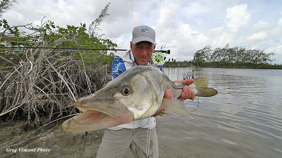 Snook at ESB Lodge