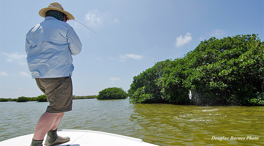 Fishing for a Future: An Ethic for Ocean Anglers (DVD)