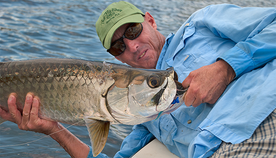 Fly Fishing for Baby Tarpon