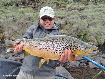 Kean Oh with brown trout at Trouters