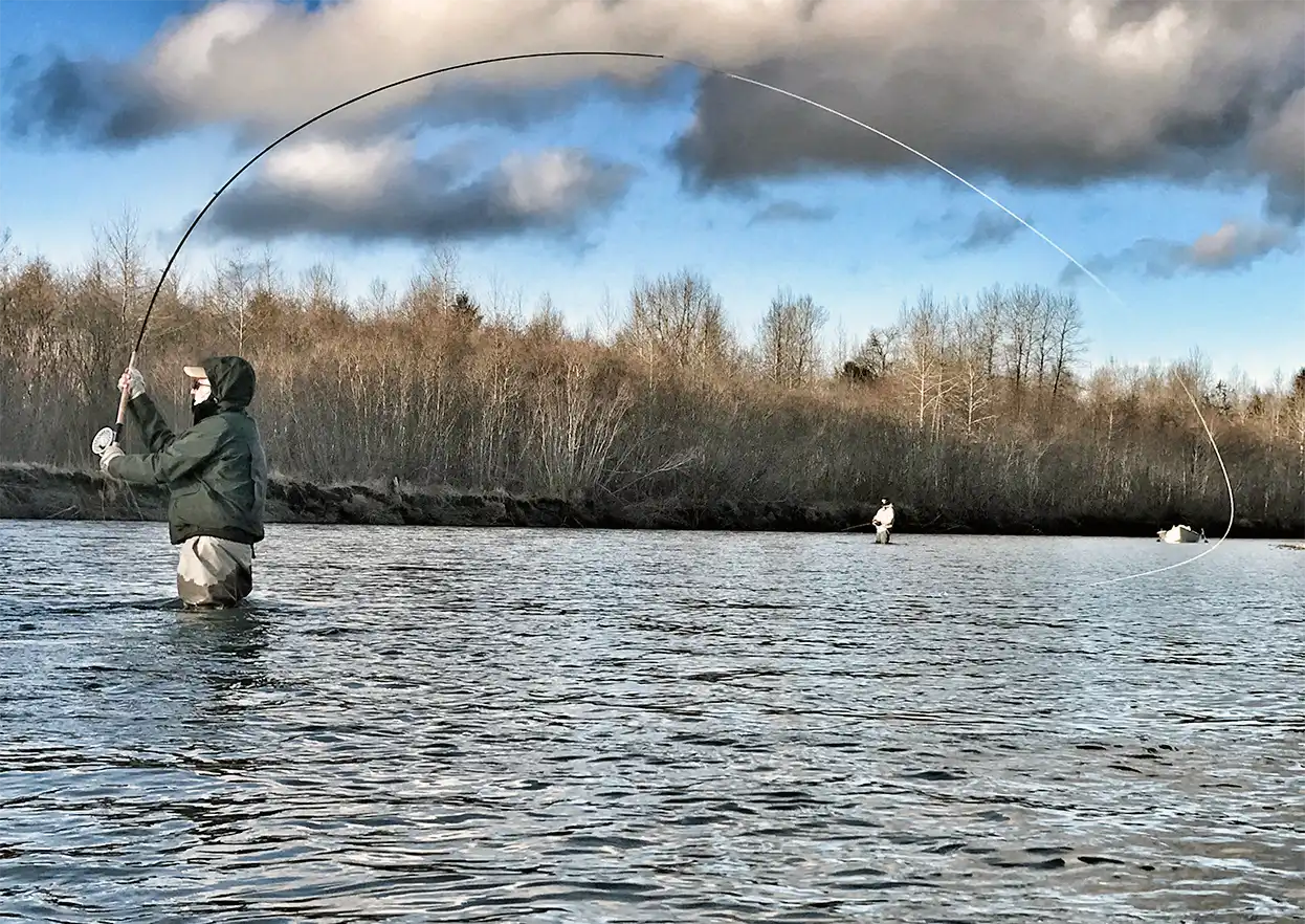 The Fly Shop Travel Image