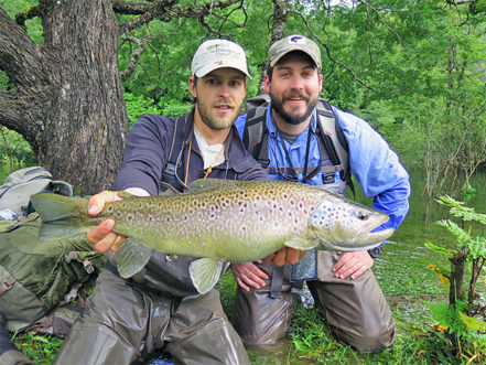 Brown Trout at El Escondido Exploratory Trips