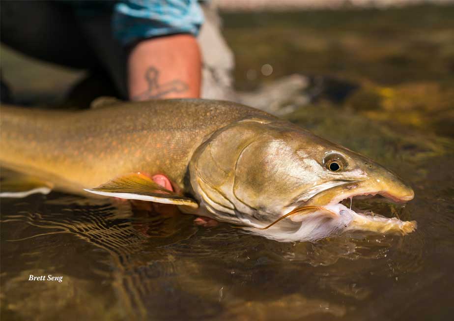 Montana Wilderness Lodge & Outfitting at The Fly Shop